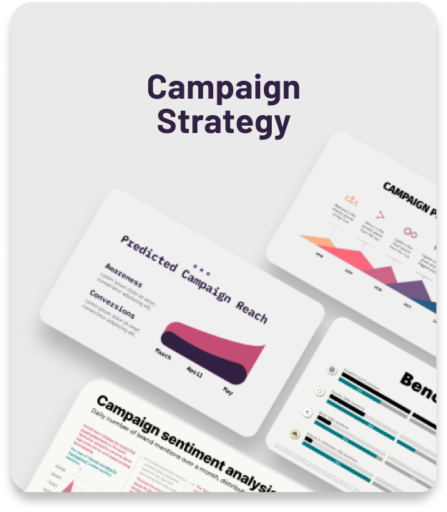 Campaign Strategy
